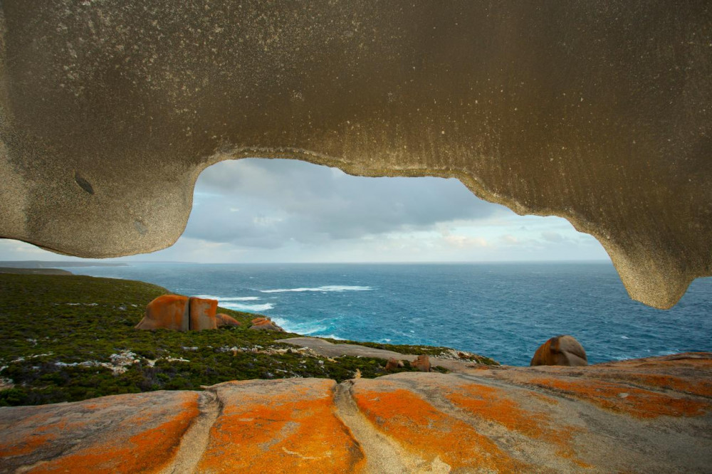 Kangaroo Island Scenic Tour - For Cruise Ship Passengers Only