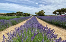 Kangaroo Island Trails7