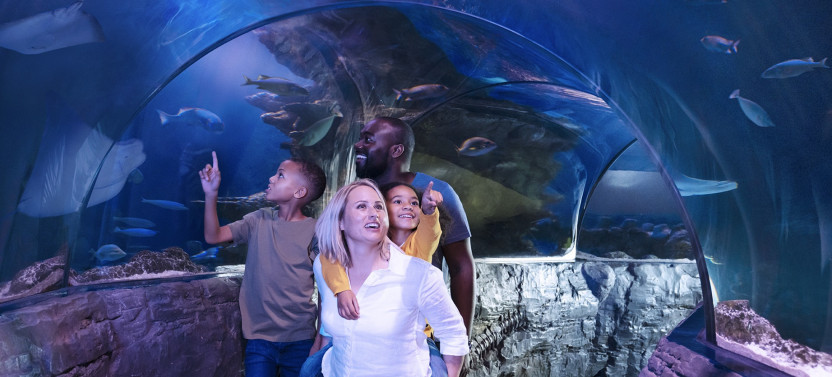 SEA LIFE London Aquarium Ticket