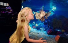 SEA LIFE London Aquarium Ticket