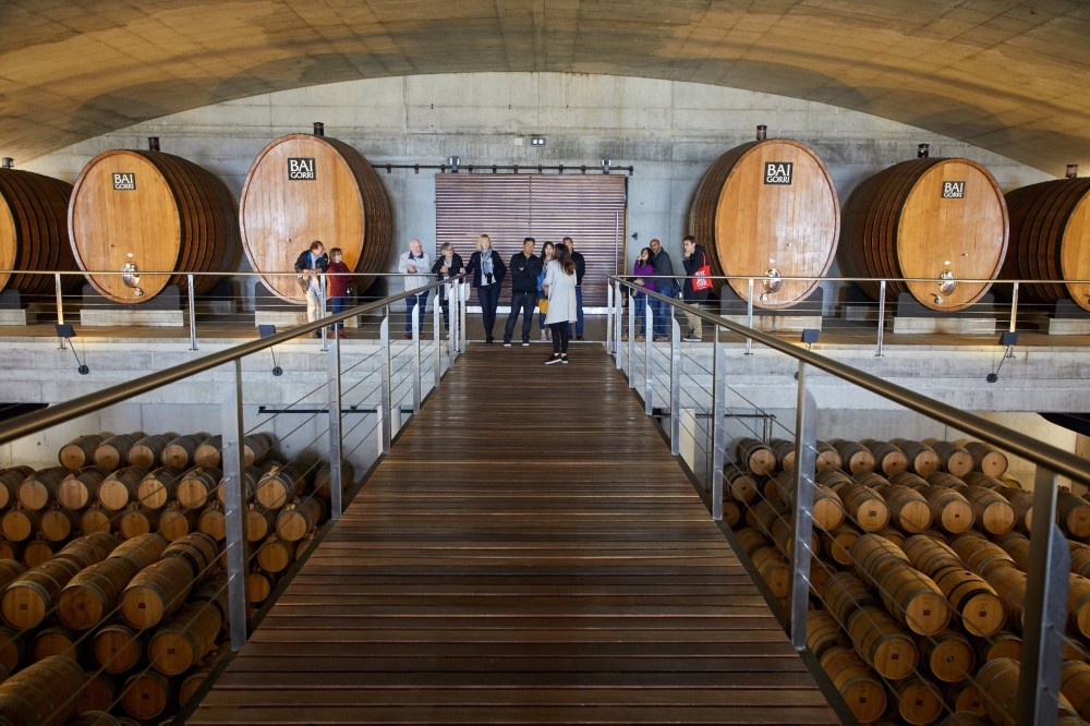 Private Tour: Taste Of Rioja Wine Adventure - San Sebastian | Project ...