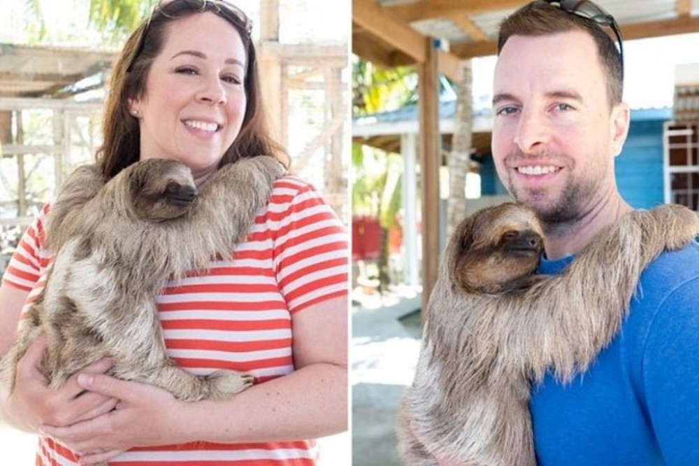 Roatan ATV Adventure With Monkey & Sloth Hangout - Mahogany Bay