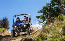 Robert Arrigo & Sons Limited1