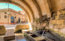 Robert Arrigo & Sons Limited15