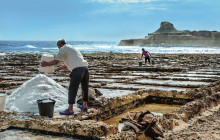 Robert Arrigo & Sons Limited21