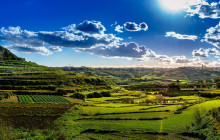 Robert Arrigo & Sons Limited35