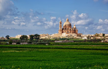 Robert Arrigo & Sons Limited39