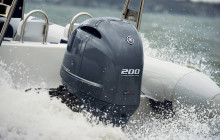 Robert Arrigo & Sons Limited7