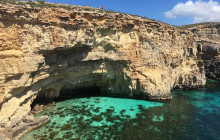 Robert Arrigo & Sons Limited8