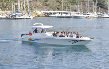 Robert Arrigo & Sons Limited9