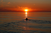 Robert Arrigo & Sons Limited15