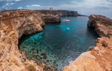 Robert Arrigo & Sons Limited16