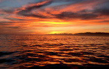 Robert Arrigo & Sons Limited23