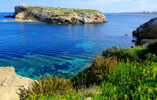 Robert Arrigo & Sons Limited30