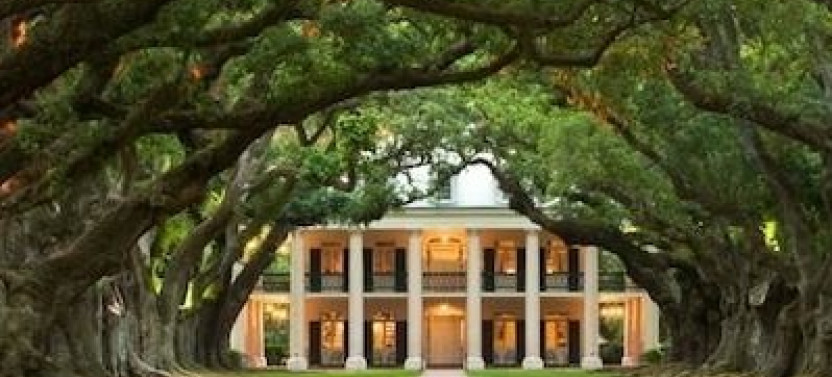 Oak Alley Or St. Joseph Plus Swamp Tour Combination