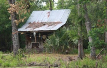 Cajun Pride Swamp tours5