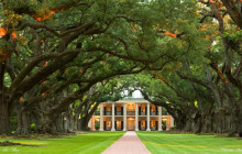 Cajun Pride Swamp tours1