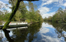 Cajun Pride Swamp tours7