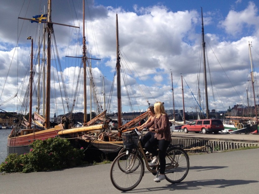 Best of Stockholm - Public tour met Nederlandse gids - 3 uur