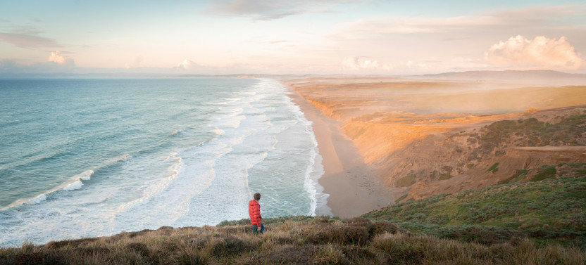 Muir Woods & Point Reyes Hiking Tour