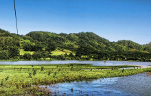 Koloa Zipline2