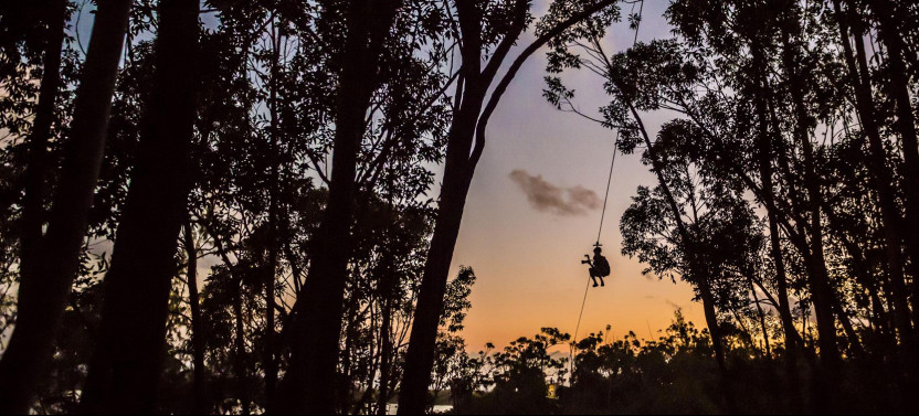 Koloa Zipline 8 Line Tour