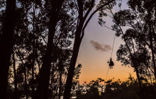 Koloa Zipline3