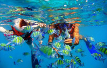 Explore Cebu Tours2