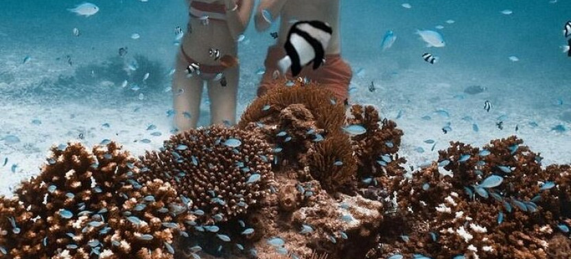 Private Aquatic Discovery Helmet Diving and Snorkeling Adventure