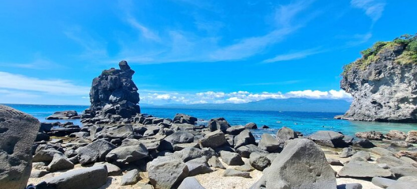 Full Day Apo Island Tour From Dumaguete