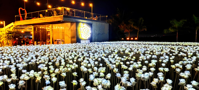 Afternoon Tour With 10k Roses