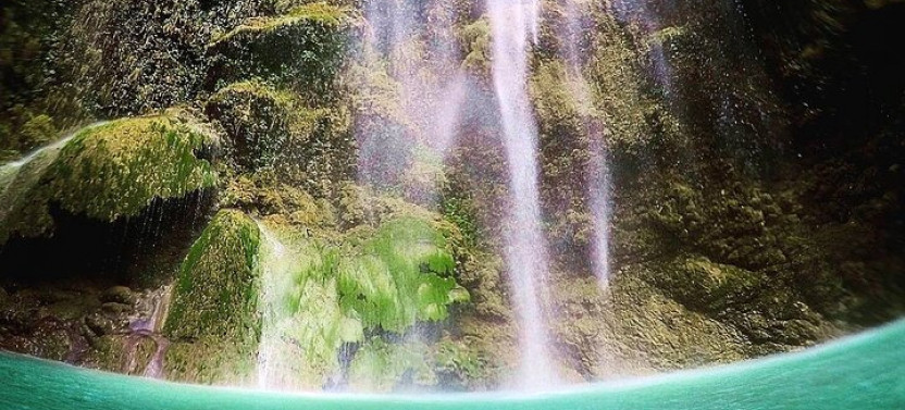 Oslob Whaleshark, Sumilon Sandbar & Tumalog Falls Tour With Lunch