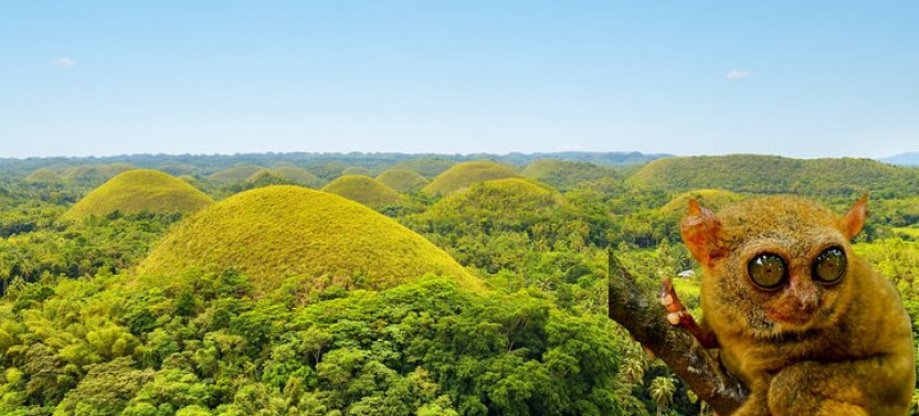 Discover Bohol Countryside Joiners Tour From Cebu City