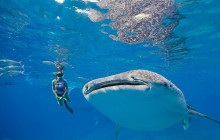 Explore Cebu Tours20