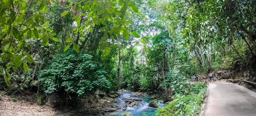 Oslob Whaleshark & Kawasan Falls Tour