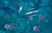 Island Escape Adventure20