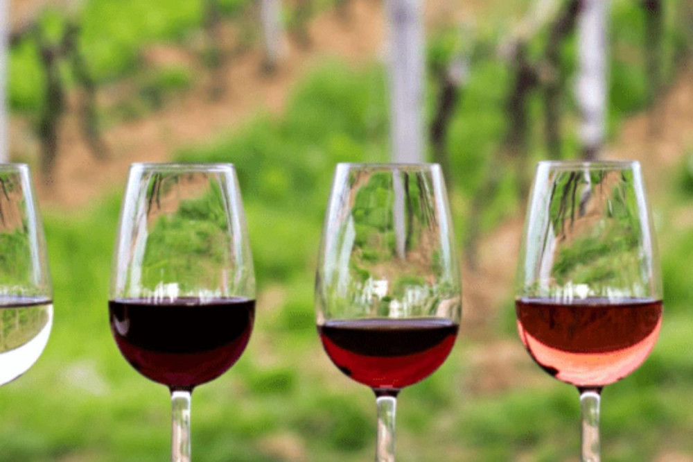 From Florence: Private Half Day Tuscany Wine Tour