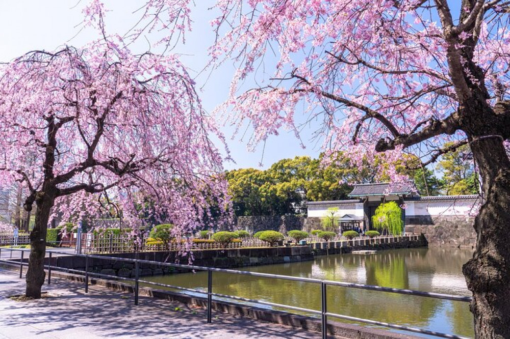 Tokyo, The East Garden of the Imperial Palace 2h Walking Tour