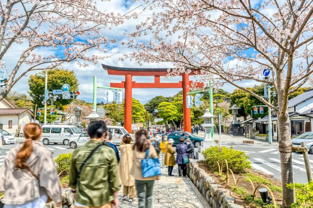 Kamakura: Greedy Gourmet and Temple Tour