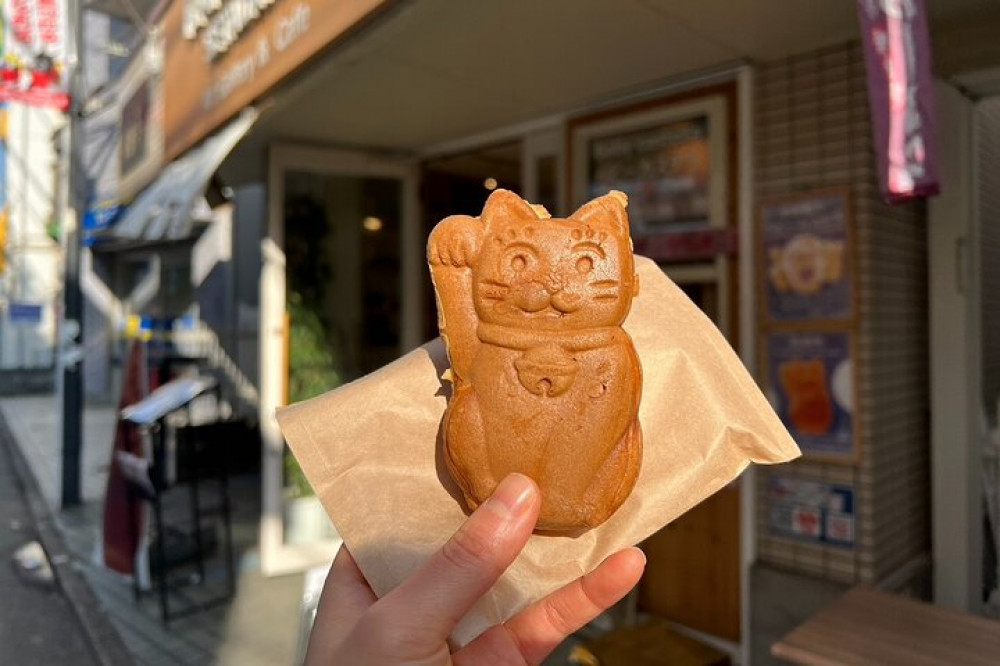 Tokyo: An Unique temple Walking Tour for cat lovers