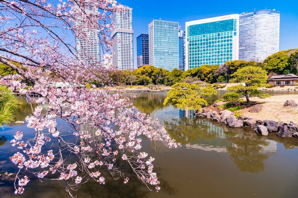 Tokyo: Japanese Garden Walking Tour with Tea and Sweets