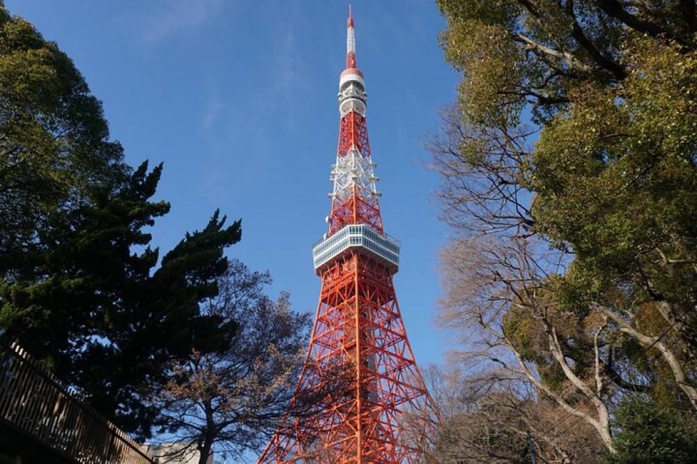 Tokyo: Top 3 Hidden Tokyo Tower Photo Spots and Local Shrine