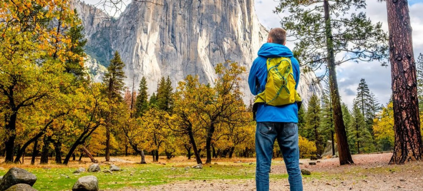  Yosemite Grand Discovery Tour | Curry Village Tent Cabin