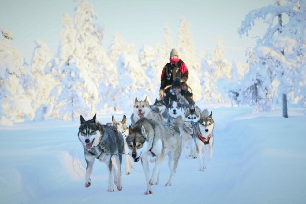 Wonderlapland Experiences Oy