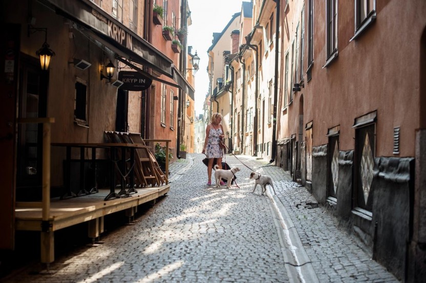 Stockholm Old Town Walk