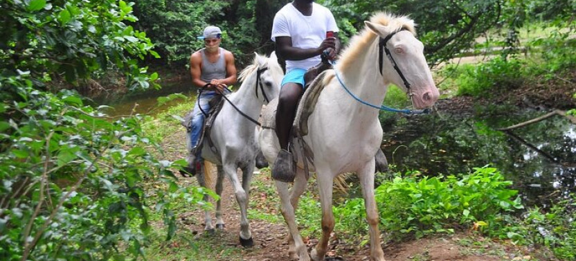Small Group: Horseback Riding at Macao Beach