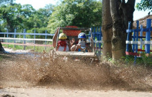 Caribbean Tour service srl15