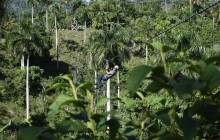 Caribbean Tour service srl10