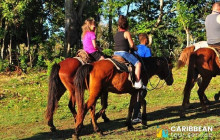 Caribbean Tour service srl19