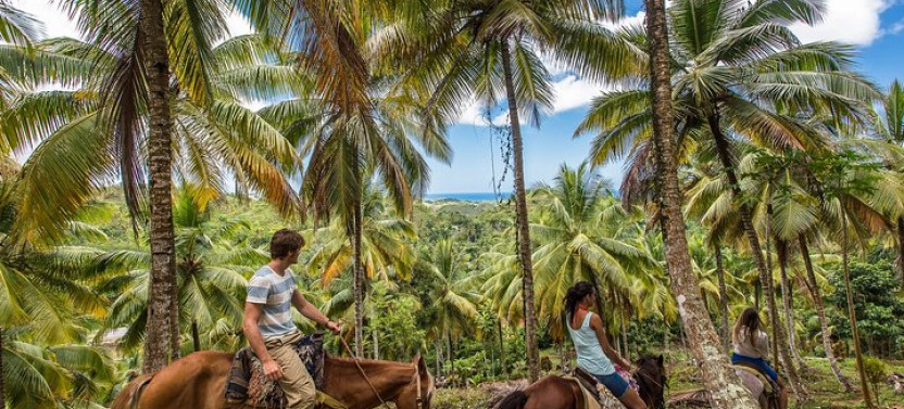 Horseback Riding in the Dominican Jungle